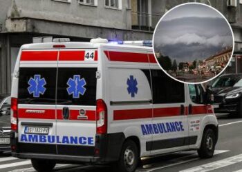 Drvo palo na ženu i dete u Novom Sadu – Hitna pomoć na terenu
