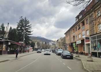 HAPŠENJE U PRIBOJU: Trojica muškaraca privedena zbog nasilničkog ponašanja