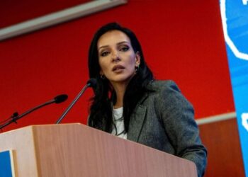 Marinika Tepić: Tužilaštvo za organizovani kriminal pokrenulo istragu o korupciji Miloša Vučevića