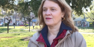 Povećanje koncentracije polena drvenastih biljaka u aprilu: Trava i breza na vrhuncu